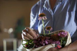 Coltivazione piante officinali