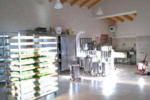 Laboratorio piante officinali Suvereto