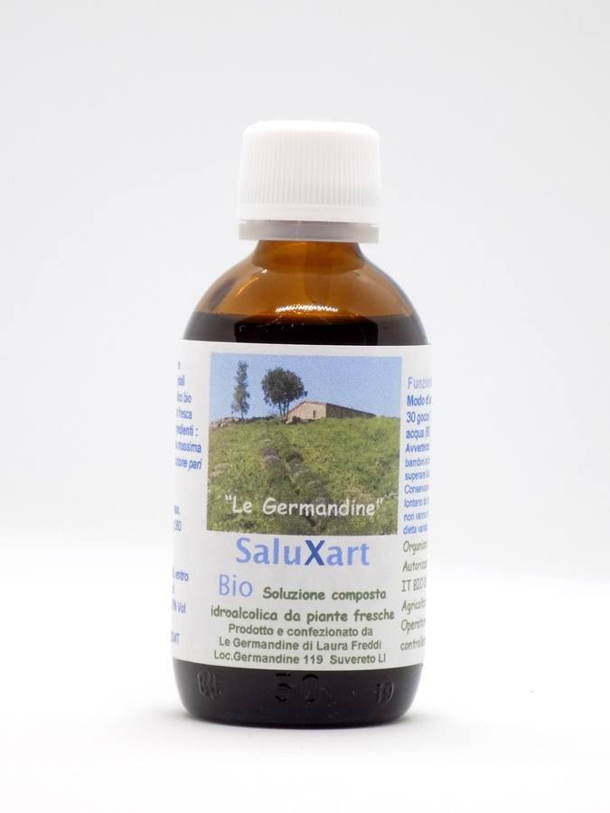 SaluXart
