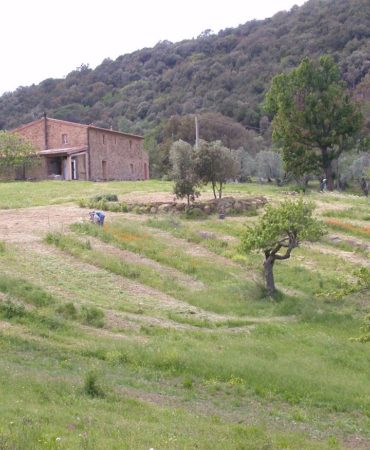 Azienda agricola biosostenibile