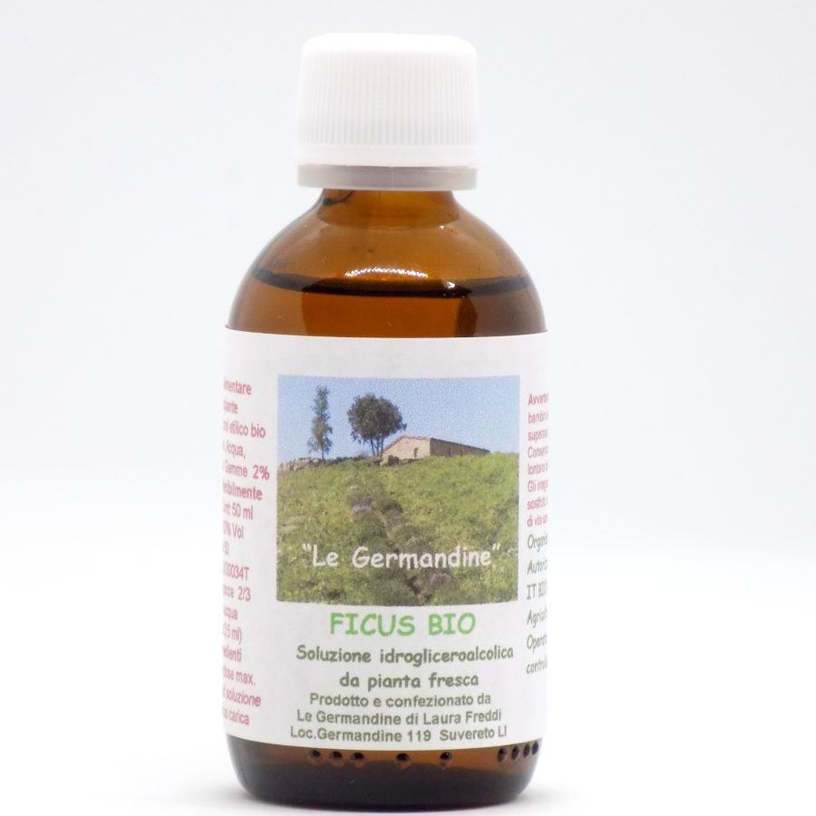 Ficus Bio