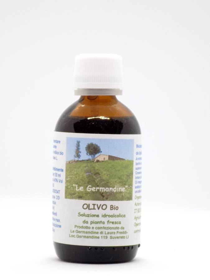 Olivo Bio