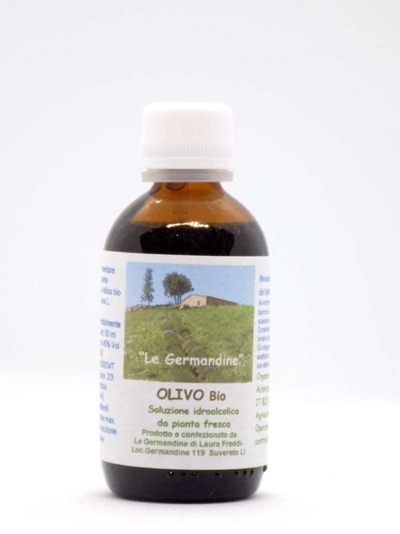 Olivo Bio