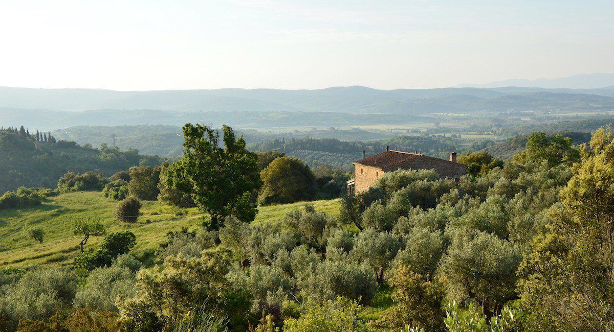 Tutti i corsi 2025 sulle piante officinali ed erbe aromatiche