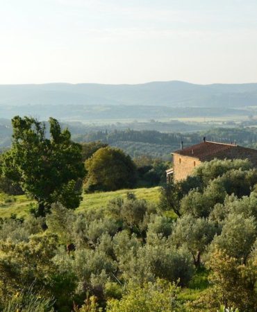Agriturismo Val di Cornia