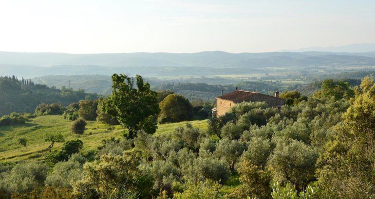 Agriturismo Val di Cornia