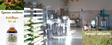 cure naturali per il benessere del fegato: Salus per Herbas